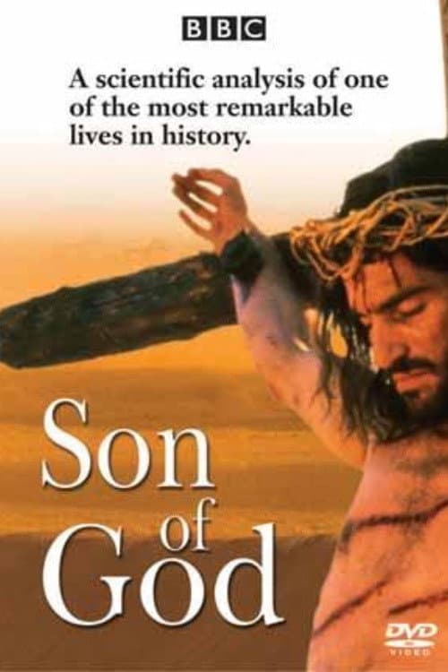 Jesus: The Complete Story Miniseries poster