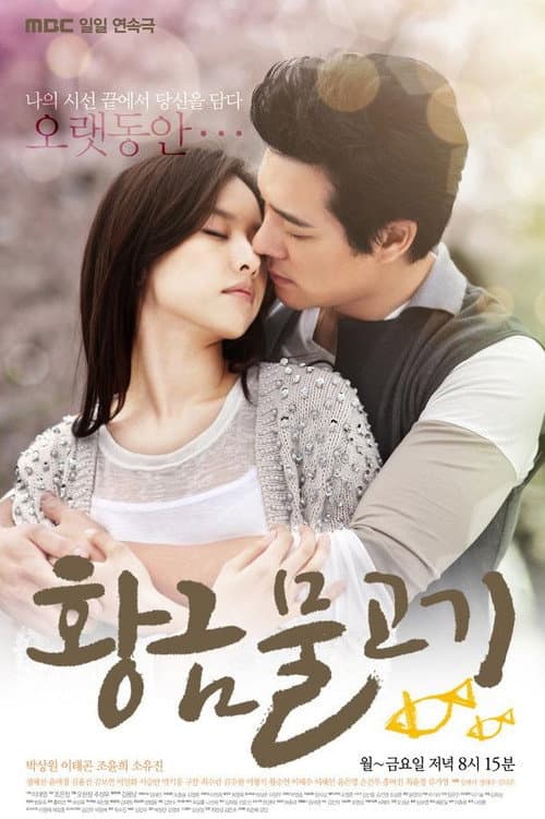Golden Fish Season 1 poster