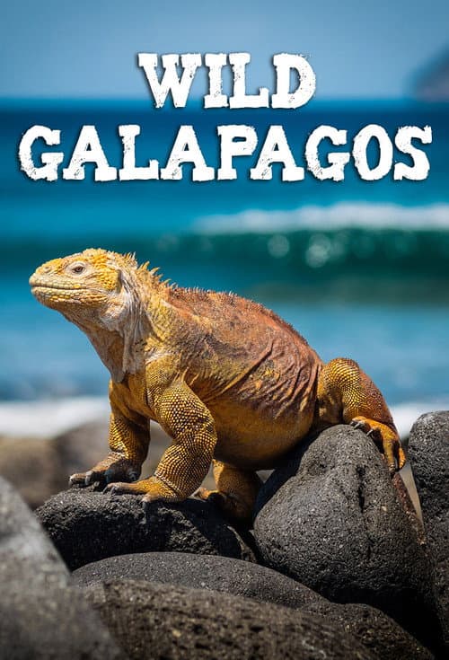 Wild Galápagos Season 1 poster