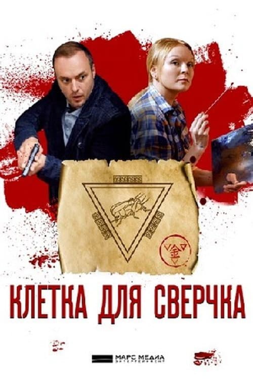 Детективы Анны Малышевой Season 10 poster