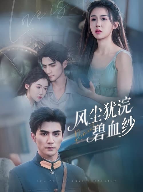 风尘犹浣碧血纱 Season 1 poster