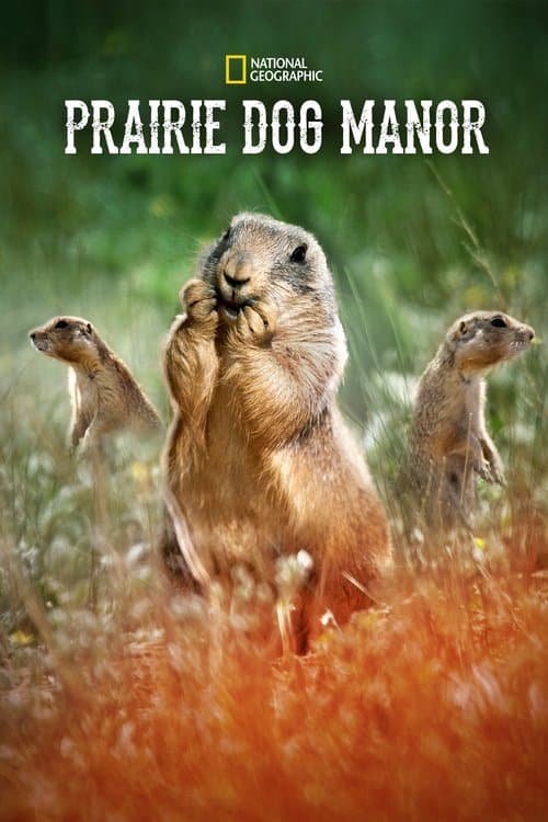 Prairie Dog Manor Season 1 poster