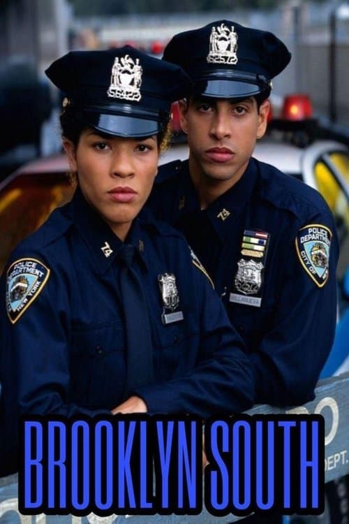 Brooklyn South Season 1 poster