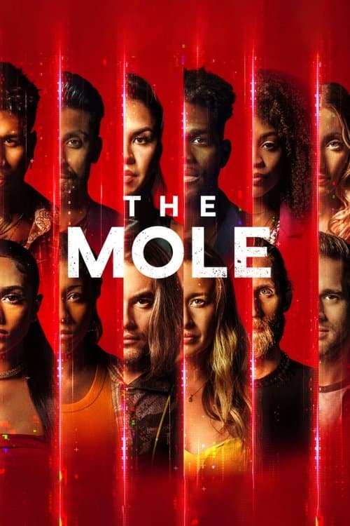 The Mole Season 1 poster