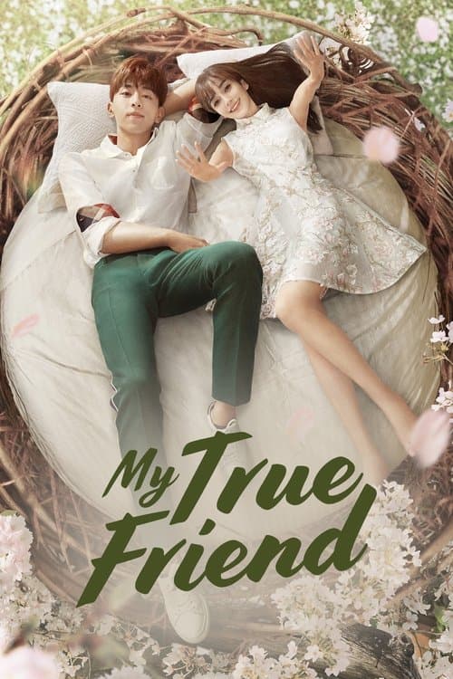 My True Friend Season 1 poster