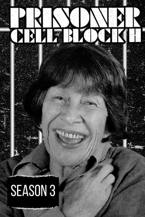 Prisoner Season 3 poster