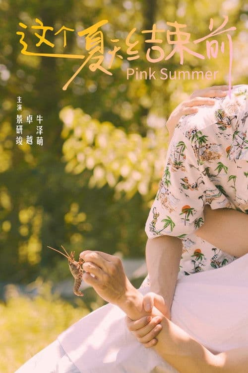 Pink Summer Season 1 poster