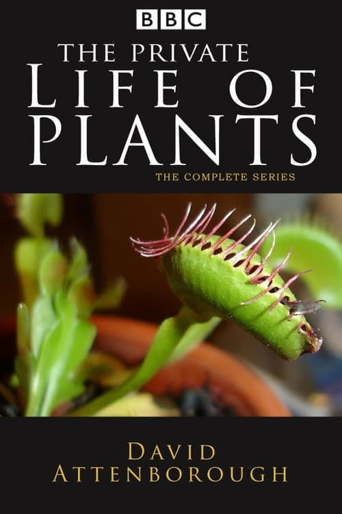 The Private Life of Plants Season 1 poster