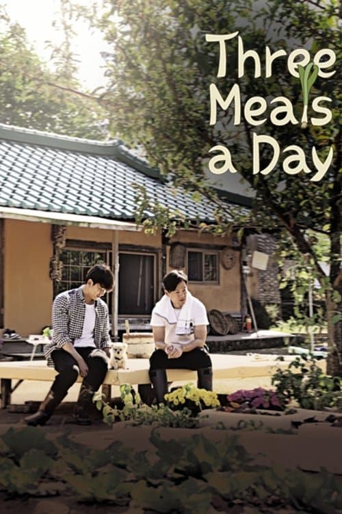 Three Meals a Day: Jeongseon Village Season 1 poster