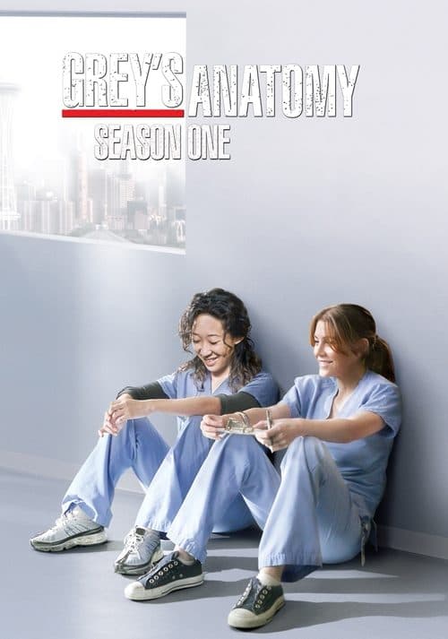 Grey's Anatomy Season 1 poster