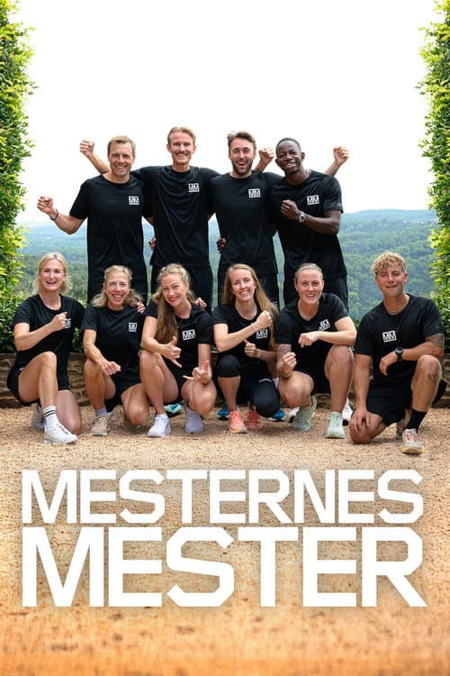 Mesternes mester Season 17 poster