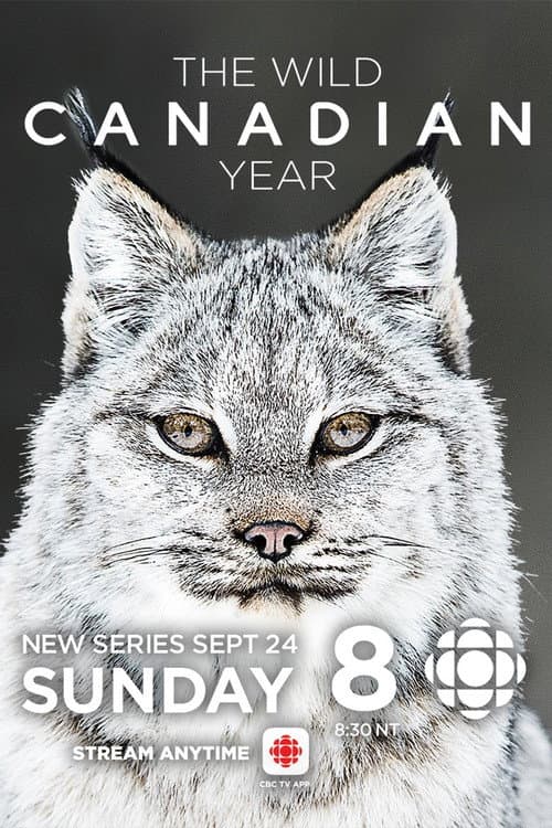 The Wild Canadian Year Season 1 poster