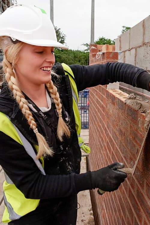 Brickies Series 2 poster