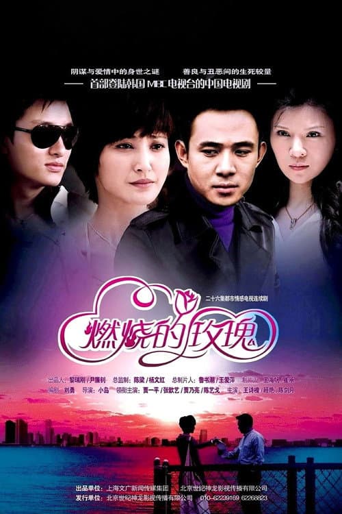 燃烧的玫瑰 Season 1 poster