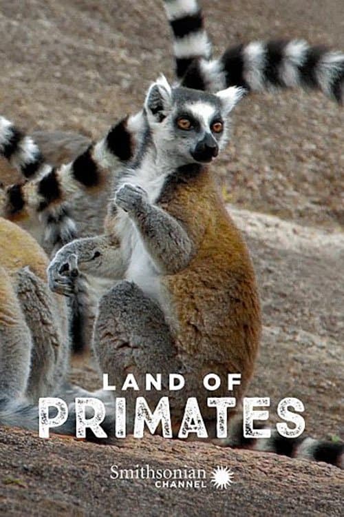 Land of Primates Season 1 poster