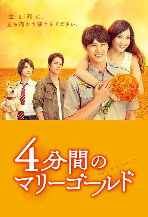 Marigold in 4 Minutes Season 1 poster