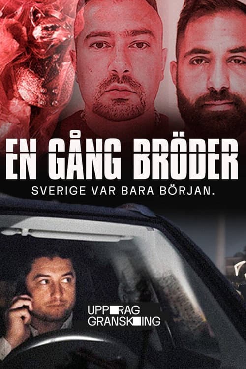 Mission: Investigate – Once Brothers Season 1 poster