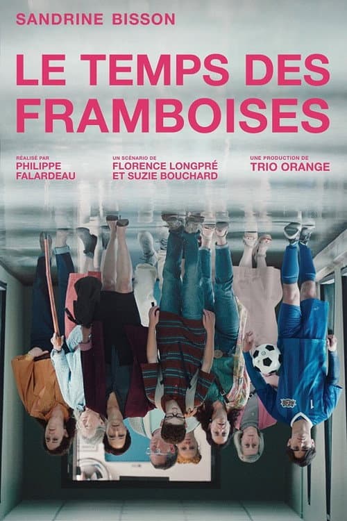 Le temps des framboises Season 1 poster
