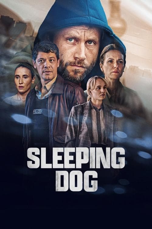 Sleeping Dog Limited Series poster