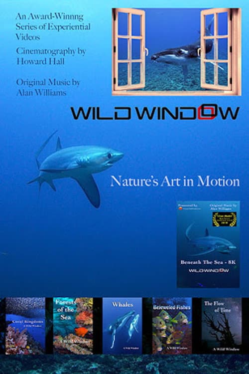 Wild Window Season 1 poster