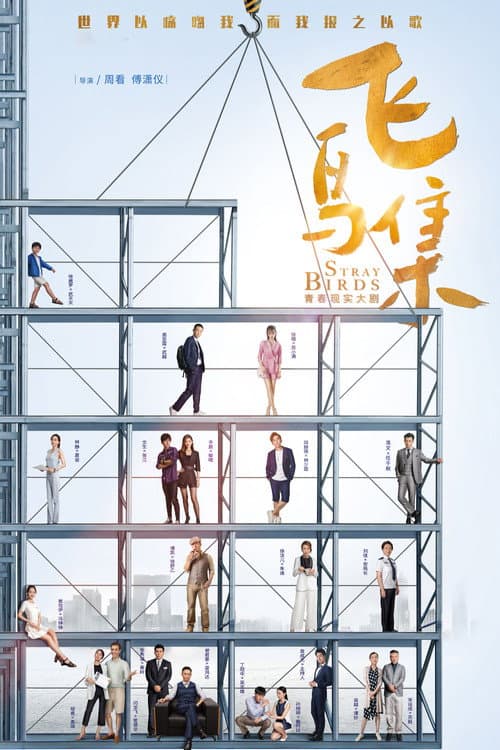 Stray Birds Season 1 poster