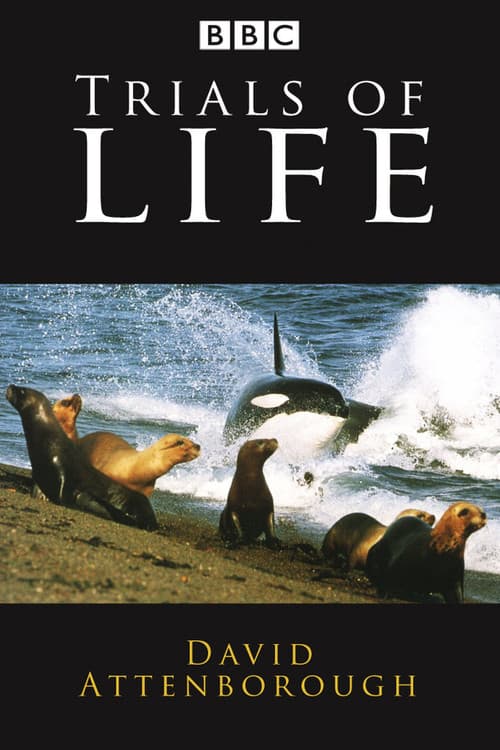 Trials of Life Season 1 poster