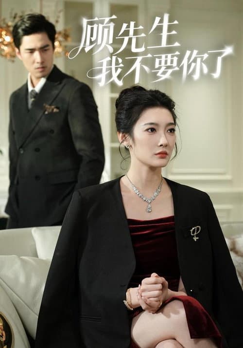 顾先生我不要你了 Season 1 poster