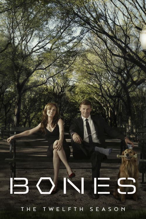 Bones Season 12 - The Final Chapter poster