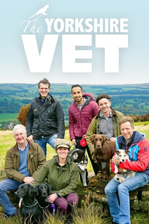 The Yorkshire Vet Series 2 poster