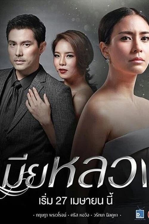 The Wife Season 1 poster