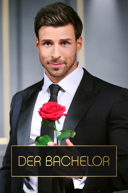 Der Bachelor Season 6 poster