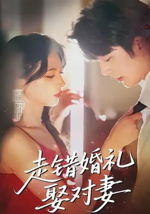 走错婚礼娶对妻 Season 1 poster