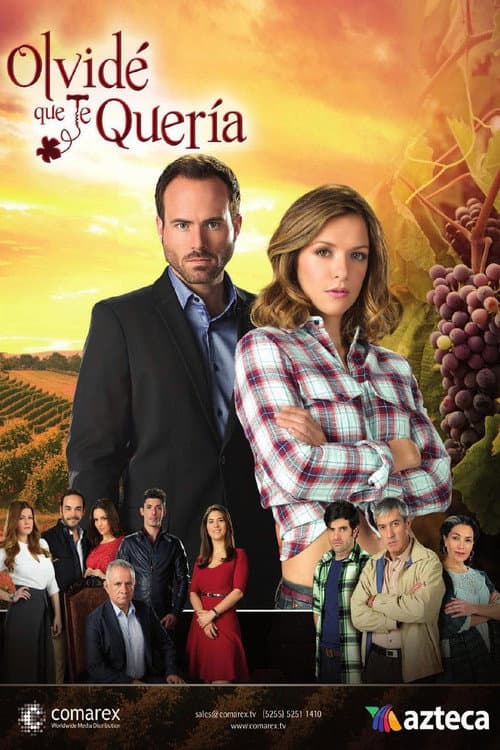 Caminos de Guanajuato Season 1 poster