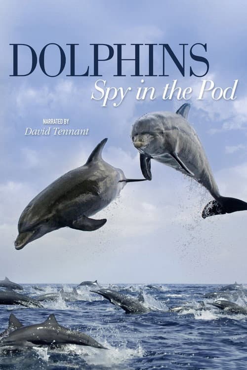 Dolphins: Spy in the Pod Miniseries poster