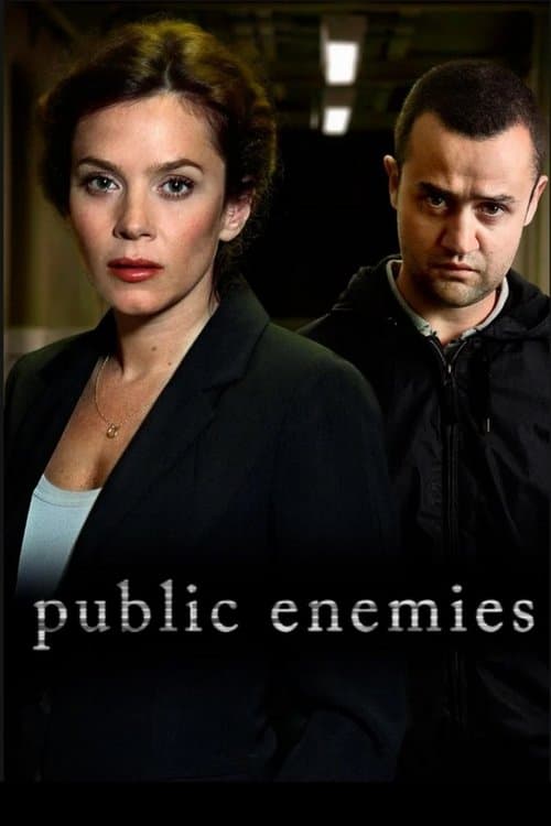 Public Enemies Season 1 poster
