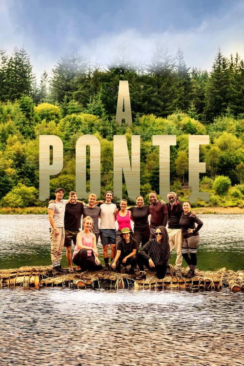 The Bridge: Race to a Fortune Series 1 poster