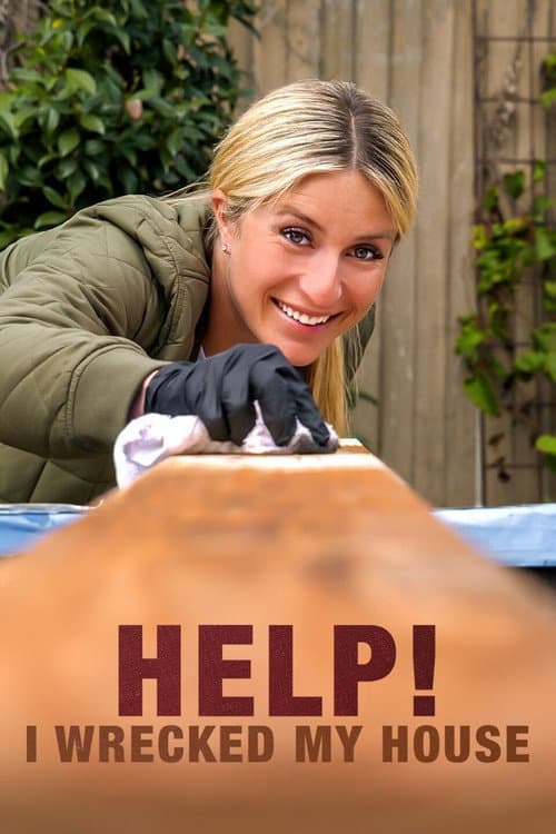 Help! I Wrecked My House Season 1 poster