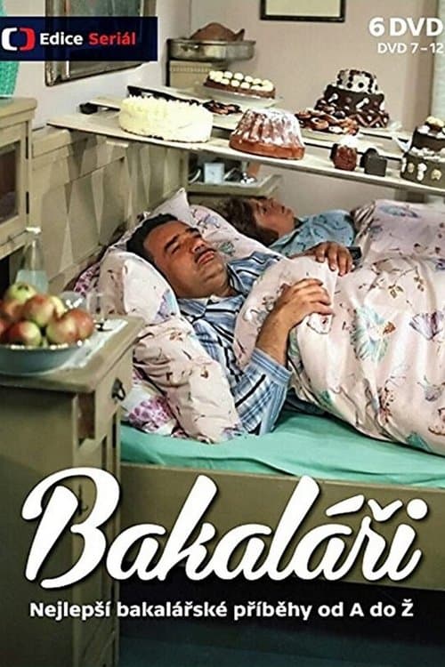 Bakaláři Season 2 poster