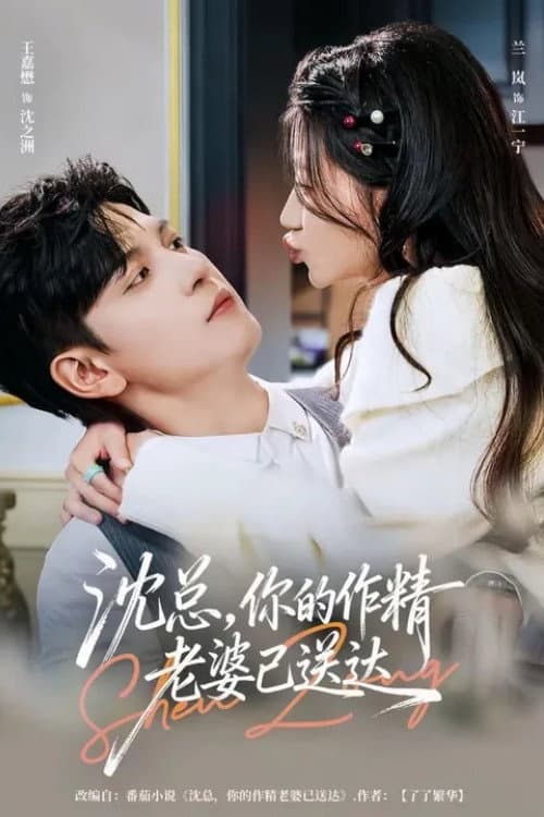 沈总，你的作精老婆已送达 Season 1 poster