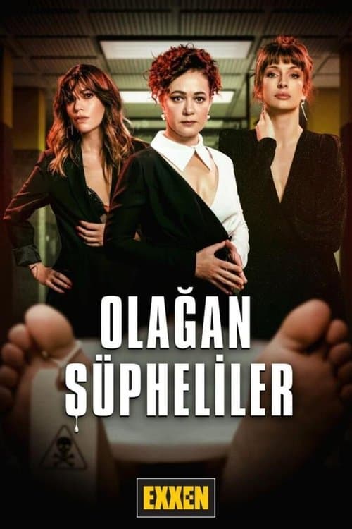 The Usual Suspects Season 1 poster