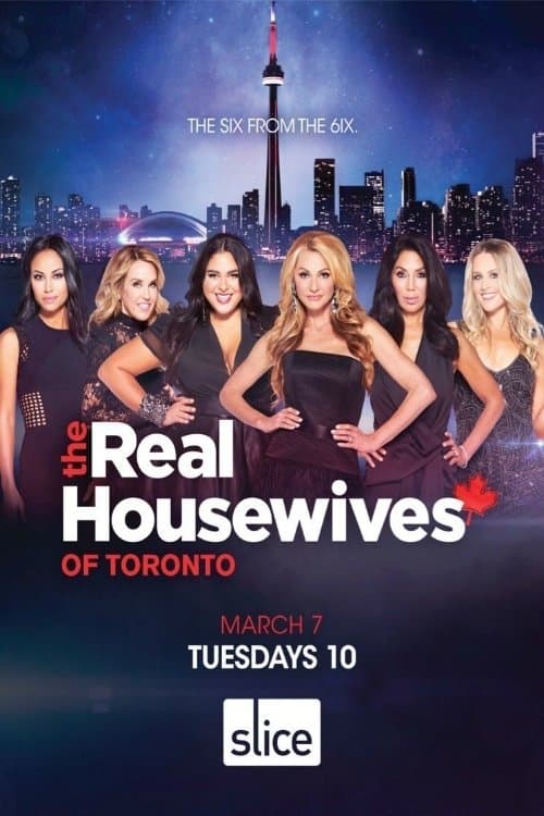 The Real Housewives of Toronto Season 1 poster