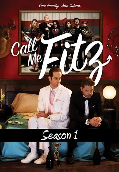 Call Me Fitz Season 1 poster