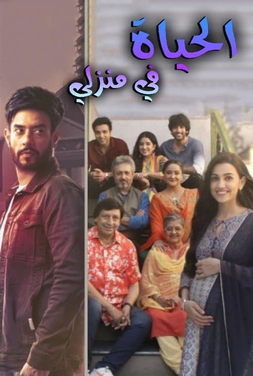 Zindagi Mere Ghar Aana Season 1 poster