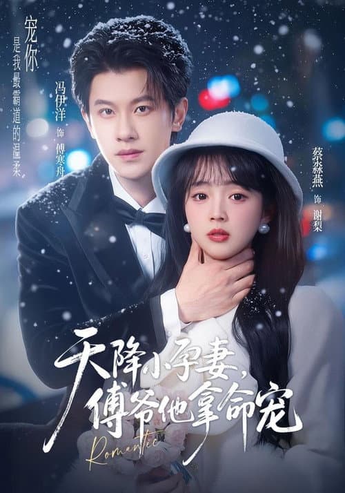 天降小孕妻，傅爷他拿命宠 Season 1 poster