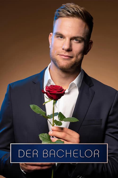 Der Bachelor Season 10 poster