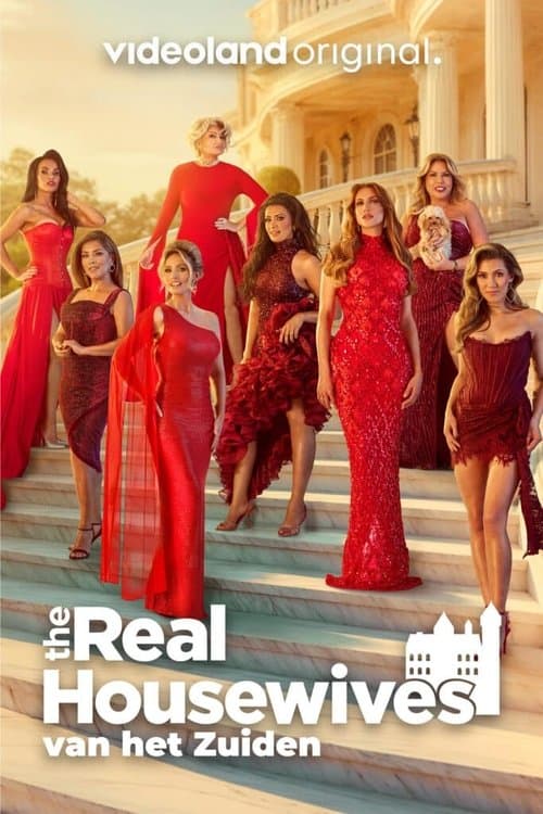 The Real Housewives van het Zuiden Season 1 poster