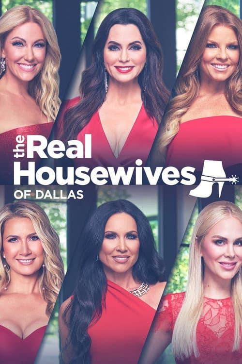 The Real Housewives of Dallas Season 4 poster