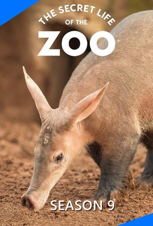 The Secret Life of the Zoo Season 9 poster