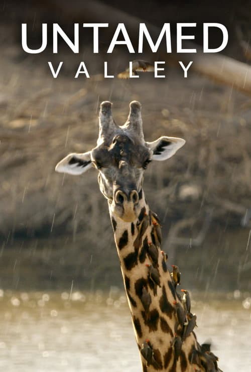 Untamed Valley Season 1 poster
