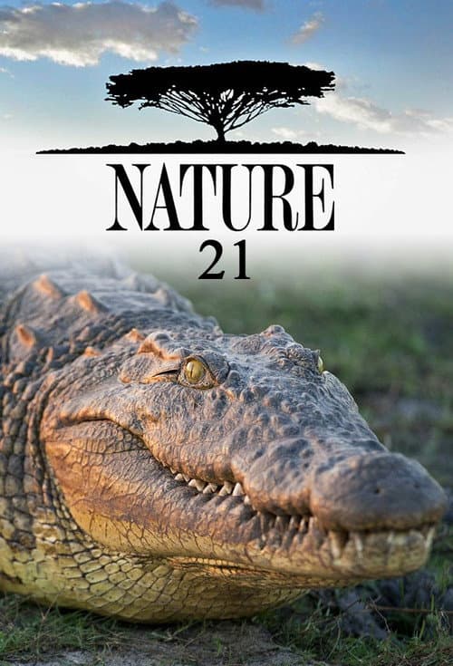 Nature Season 21 poster